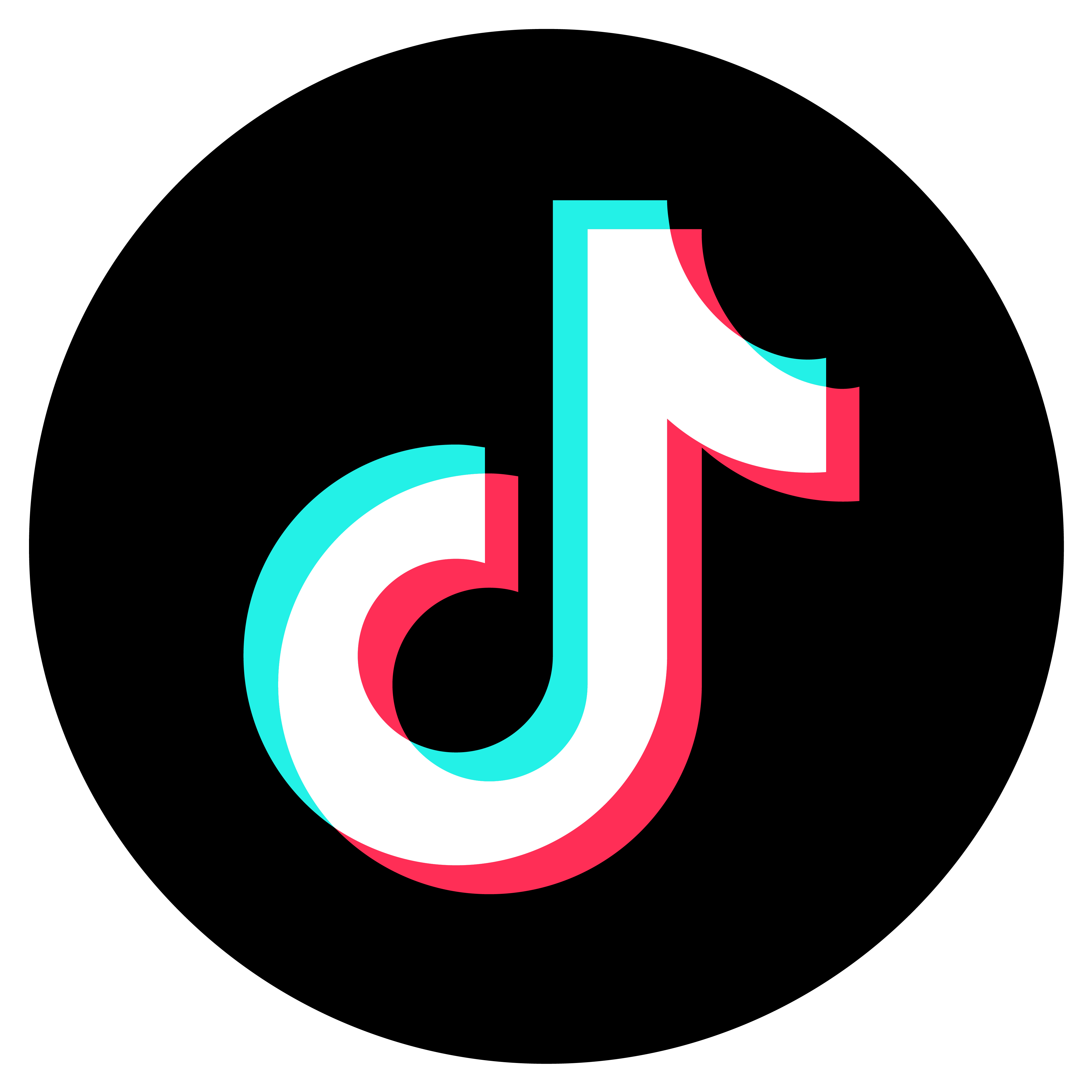 Follow BoBu on Tiktok